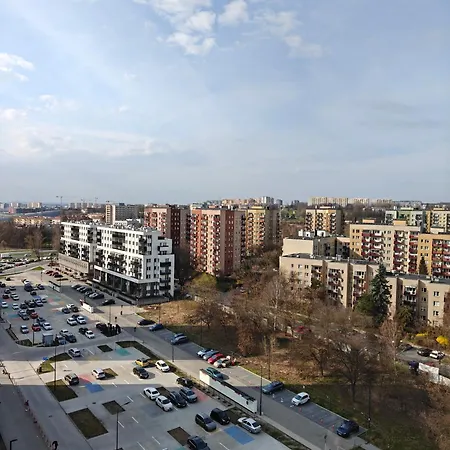 11th Gray * Krasków